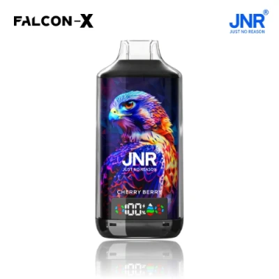 Falcon X 18k Puffs Disposable Vape 10pcs/pack